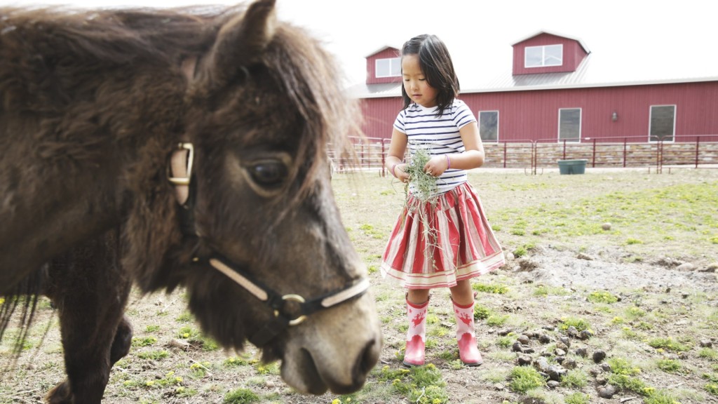 Naleigh feeding the mini horses in her cute skirt