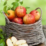 Gala Apples In A Basket