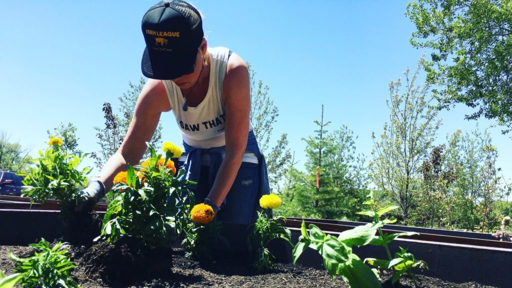 Katherine Heigl planting golden hued marigolds in the bed designated for yellows and oranges.