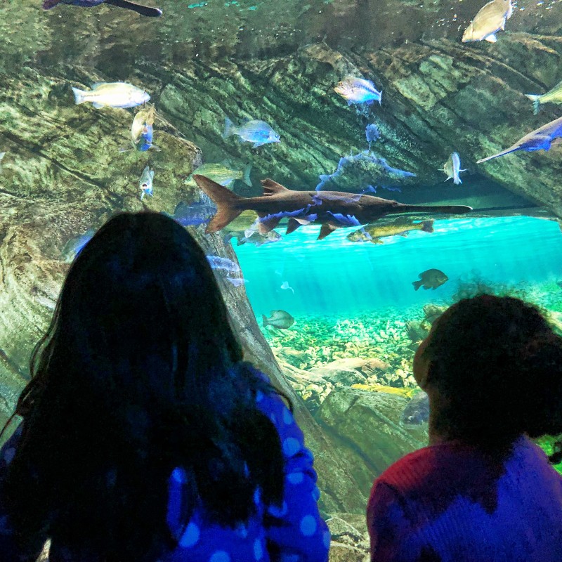 Adalaide and Naleigh at Ripley’s Aquarium of Canada
