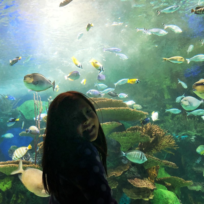 Naleigh at Ripley’s Aquarium of Canada