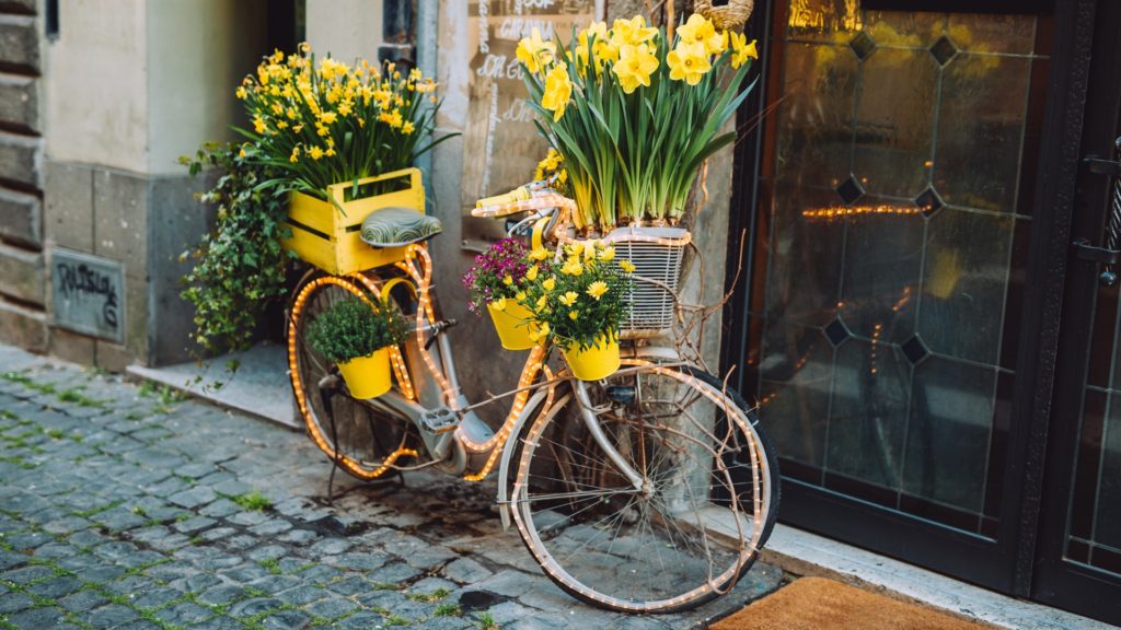 Flowers On A Bike